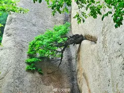 爱游戏体育 -?I2岈７ywu頠旙?Ku鳇 